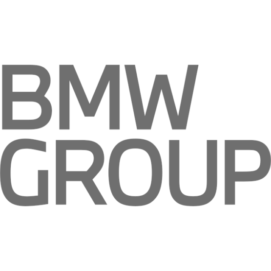 BMW-Group-Logo-2-555x555 BMW Group Logo  